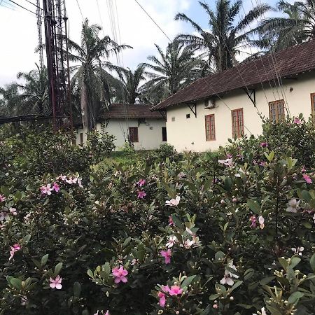 מלון Quang Tri Palm Garden House מראה חיצוני תמונה