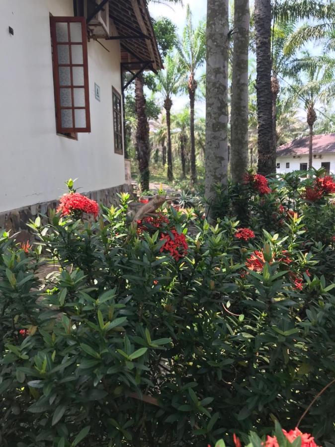 מלון Quang Tri Palm Garden House מראה חיצוני תמונה