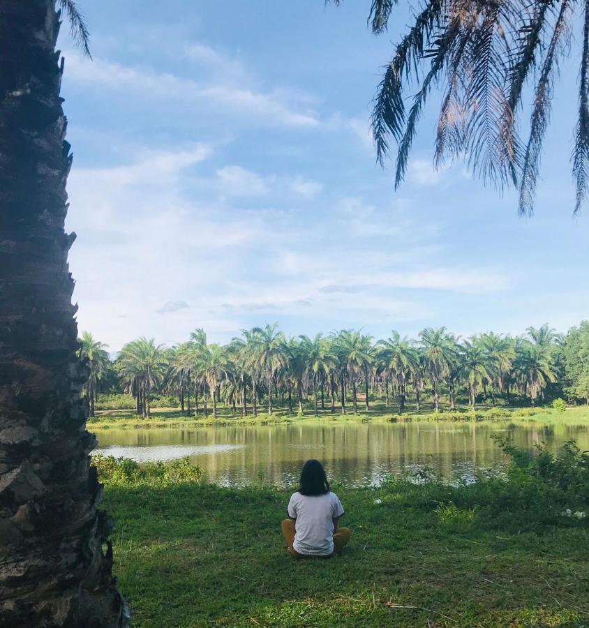 מלון Quang Tri Palm Garden House מראה חיצוני תמונה