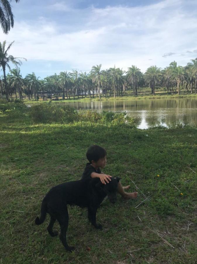 מלון Quang Tri Palm Garden House מראה חיצוני תמונה