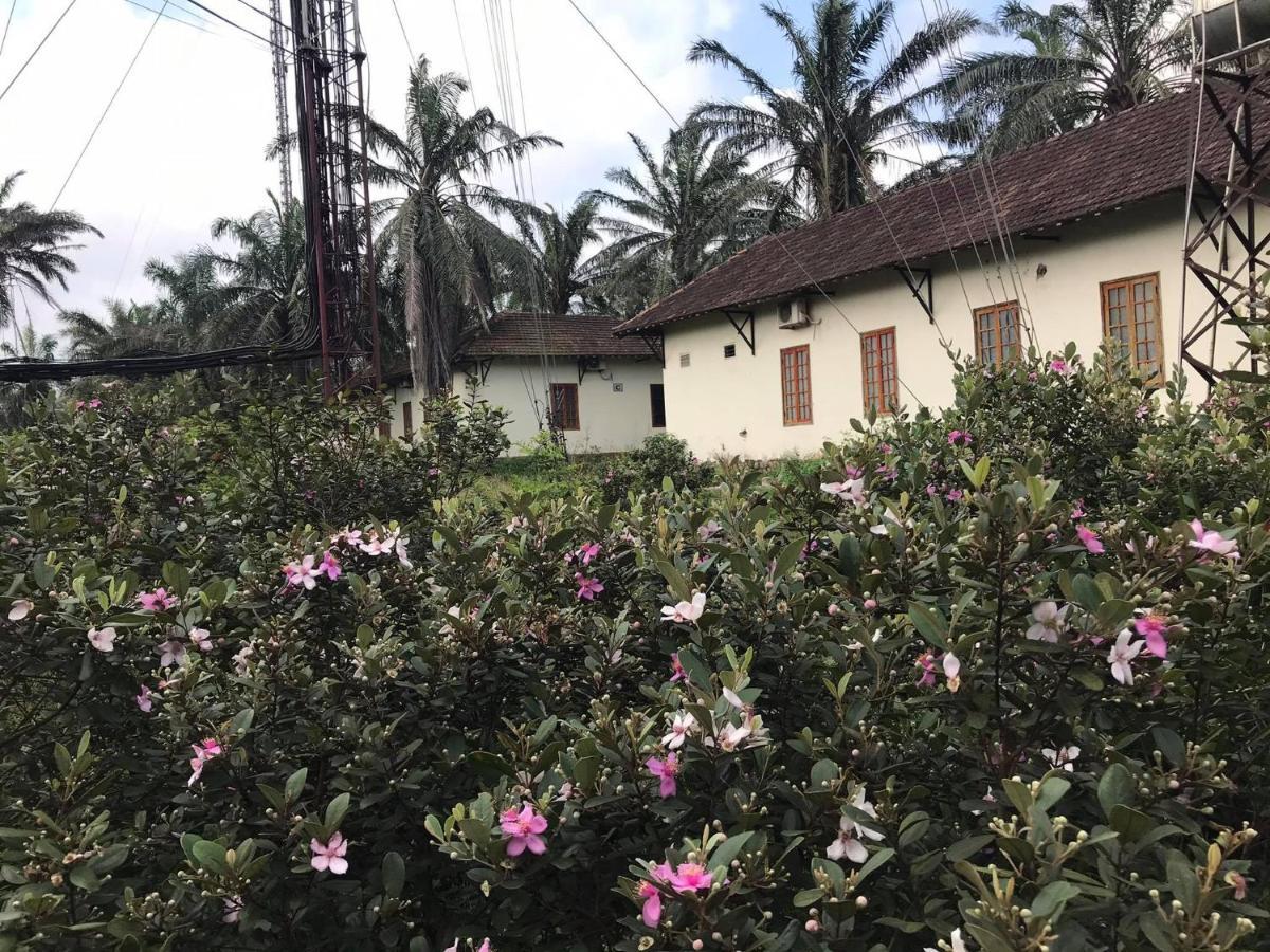 מלון Quang Tri Palm Garden House מראה חיצוני תמונה