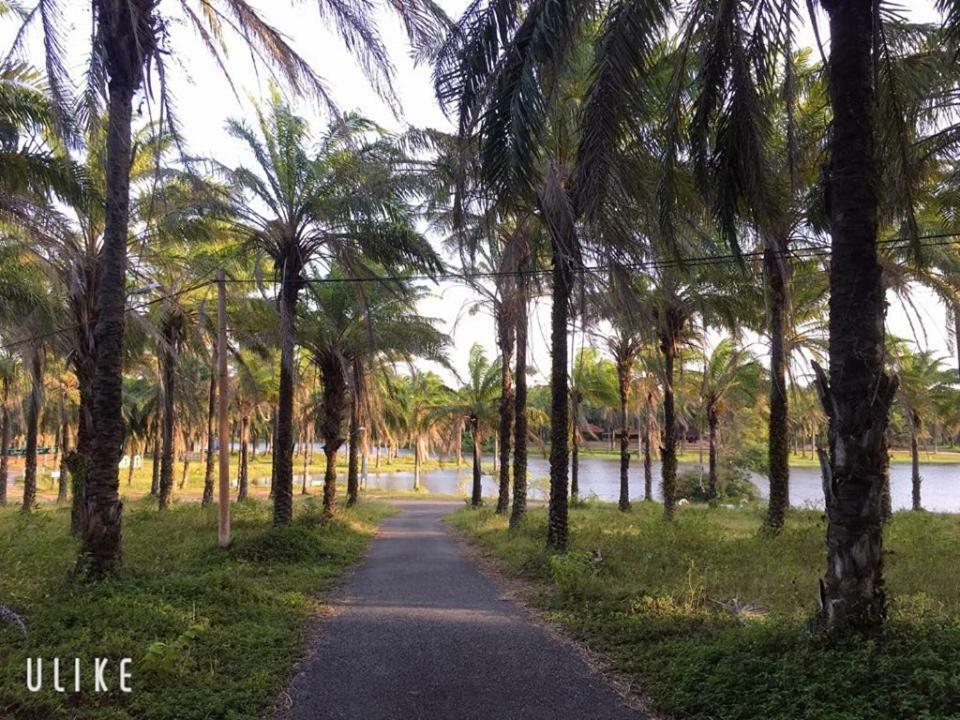 מלון Quang Tri Palm Garden House מראה חיצוני תמונה