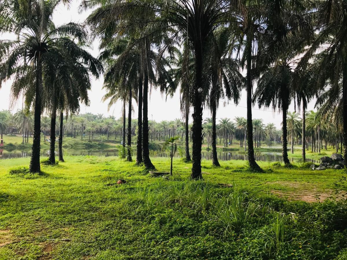 מלון Quang Tri Palm Garden House מראה חיצוני תמונה