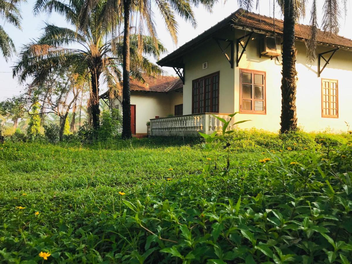 מלון Quang Tri Palm Garden House מראה חיצוני תמונה